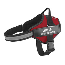Load image into Gallery viewer, WALKYWALK Adjustable No-Choke Dog Harness